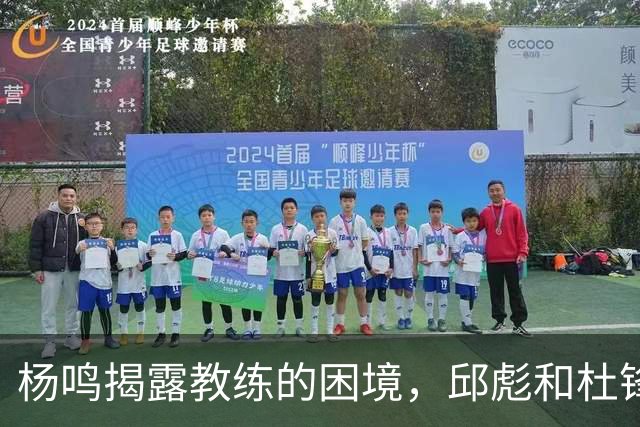 杨鸣揭露教练的困境，邱彪和杜锋的小团队行为是否成为自保策略？
